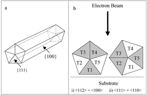 Graphical abstract: Growth and form of gold nanorods prepared by seed-mediated, surfactant-directed synthesis