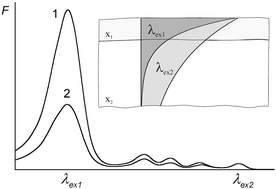 Graphical abstract: Noninvasive fluorescence excitation spectroscopy during application of 5-aminolevulinic acid in vivo