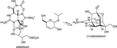 Graphical abstract: Natural guanidine derivatives