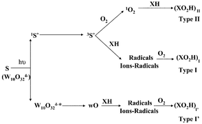Graphical abstract: Polyoxometalate sensitization in mechanistic studies of photochemical reactions: The decatungstate anion as a reference sensitizer for photoinduced free radical oxygenations of organic compounds