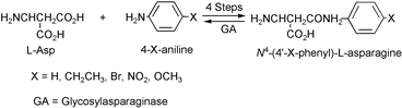 Graphical abstract: Acylation is rate-limiting in glycosylasparaginase-catalyzed hydrolysis of N4-(4′-substituted phenyl)-l-asparagines
