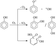 Graphical abstract: Ozonolysis of phenols in aqueous solution