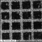 Graphical abstract: Electrochemical design of metal distribution in alkali silicate glass with ion-conducting microelectrodes