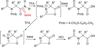 Graphical abstract: Synthesis of N-acyl-N,α,α-trialkyl and N-acyl-α,α-dialkyl glycines by selective cleavage of Ugi–Passerini adducts. Qualitative assessment of the effect of substituents on the path and yield of reaction