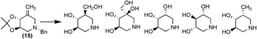 Graphical abstract: A new access to polyhydroxy piperidines of the azasugar class: synthesis and glycosidase inhibition studies