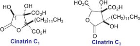 Graphical abstract: Enantiospecific synthesis of the phospholipase A2 inhibitors (−)-cinatrin C1 and (+)-cinatrin C3