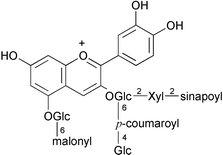 Graphical abstract: Anthocyanins and other flavonoids