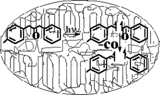 Graphical abstract: Temperature-dependent cage effects from triplet radical pairs generated upon irradiation of 1-(4-methylphenyl)-3-phenyl-2-propanone in polyethylene films