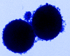Graphical abstract: Thermal decomposition of tetraethylorthosilicate (TEOS) produces silicon coated carbon spheres