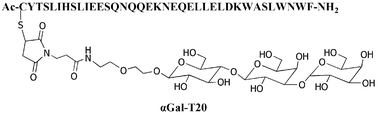 Graphical abstract: Design and synthesis of αGal-conjugated peptide T20 as novel antiviral agent for HIV-immunotargeting