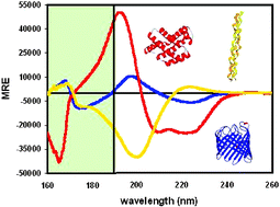 Graphical abstract: Synchrotron radiation circular dichroism spectroscopy of proteins and applications in structural and functional genomics