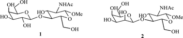 Graphical abstract: The design and synthesis of a selective inhibitor of fucosyltransferase VI