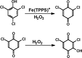 Graphical abstract: A kinetic study of the early steps in the oxidation of chlorophenols by hydrogen peroxide catalyzed by a water-soluble iron(iii) porphyrin
