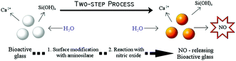 Graphical abstract: Tailoring of bioactive glasses for the release of nitric oxide as an osteogenic stimulus