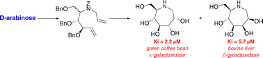 Graphical abstract: The first synthesis of substituted azepanes mimicking monosaccharides: a new class of potent glycosidase inhibitors