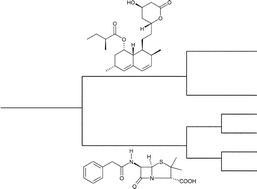 Graphical abstract: Phenotypic taxonomy and metabolite profiling in microbial drug discovery
