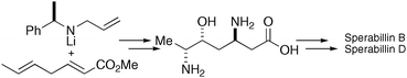 Graphical abstract: Asymmetric total synthesis of sperabillins B and D via lithium amide conjugate addition