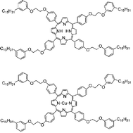 Graphical abstract: Polycrystalline TiO2 impregnated with cardanol-based porphyrins for the photocatalytic degradation of 4-nitrophenol