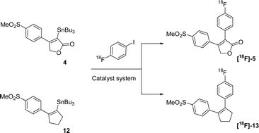 Graphical abstract: Synthesis of 18F-labelled cyclooxygenase-2 (COX-2) inhibitors via Stille reaction with 4-[18F]fluoroiodobenzene as radiotracers for positron emission tomography (PET)