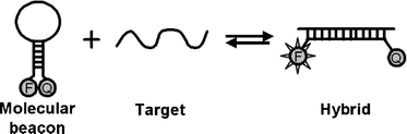 Graphical abstract: Comparative quantification of nucleic acids using single-molecule detection and molecular beacons
