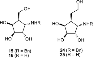 Graphical abstract: Synthesis of aminocyclopentanols: α-d-galacto configured sugar mimics