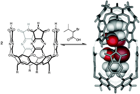 Graphical abstract: Diastereoselection of chiral acids in a cylindrical capsule