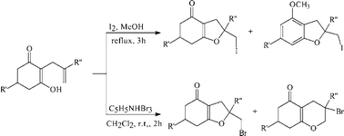 Graphical abstract: Iodo- and bromo-enolcyclization of 2-(2-propenyl)cyclohexanediones and 2-(2-propenyl)cyclohexenone derivatives using iodine in methanol and pyridinium hydrobromide perbromide in dichloromethane
