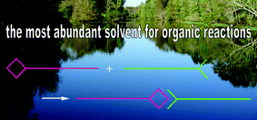 Graphical abstract: Organic chemistry in water