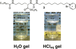 Graphical abstract: l-Lysine-based supramolecular hydrogels containing various inorganic ions