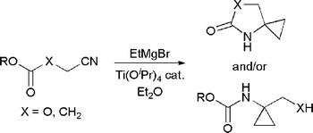 Graphical abstract: Studies on the titanium-catalyzed cyclopropanation of nitriles