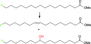 Graphical abstract: Quantitation of hydroxylated byproduct formation in a Saccharomyces cerevisiae Δ9 desaturating system