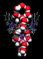 Graphical abstract: Structural relationship between a host included chain of spirocyclic water hexamers and bulk water – the role of water clusters in self assembly and crystallization processes