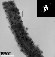 Graphical abstract: Fabrication and characterization of magnetic carbon nanotube composites