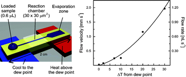 Graphical abstract: Continuous flow in open microfluidics using controlled evaporation