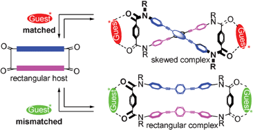 Graphical abstract: Stereospecific change in conformation upon complexation of an exoditopic tetraamide host with a bis(ammonium) guest: chiral recognition and strong CD signaling