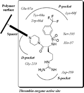 Graphical abstract: Design, synthesis and evaluation of graftable thrombin inhibitors for the preparation of blood-compatible polymer materials