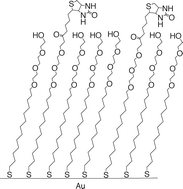 Graphical abstract: Formation and removal of alkylthiolate self-assembled monolayers on gold in aqueous solutions