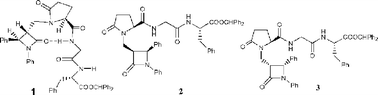 Graphical abstract: A novel azetidinyl γ-lactam based peptide with a preference for β-turn conformation
