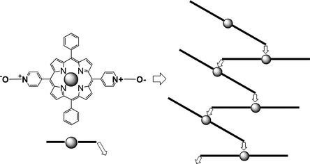 Graphical abstract: Molecular tectonics: coordination networks based on porphyrins bearing pyridine N-oxide groups as coordinating sites