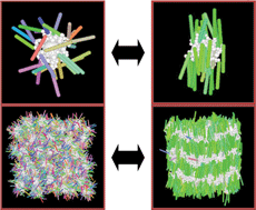 Graphical abstract: Coarse-grained simulation studies of a liquid crystal dendrimer: towards computational predictions of nanoscale structure through microphase separation