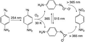 Graphical abstract: Matrix isolation and computational study of the photochemistry of p-azidoaniline