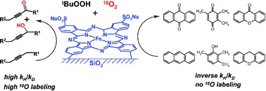 Graphical abstract: Mechanistic diversity of the selective oxidations mediated by supported iron phthalocyanine complexes