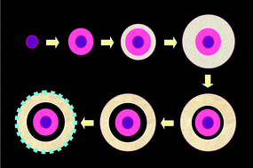 Graphical abstract: Synthetic architecture of interior space for inorganic nanostructures