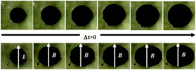Graphical abstract: Swelling kinetics of anisotropic filler loaded PDMS networks