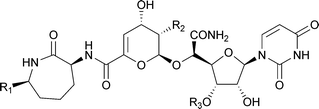 Graphical abstract: Natural product growth inhibitors of Mycobacterium tuberculosis
