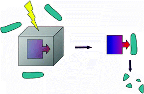 Graphical abstract: A simple procedure for the photoregulation of chymotrypsin activity