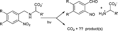 Graphical abstract: Decarboxylation is a significant reaction pathway for photolabile calcium chelators and related compounds