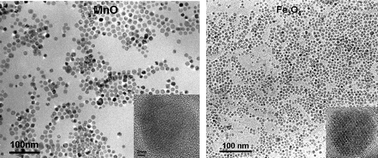 Graphical abstract: The synthesis of amine-capped magnetic (Fe, Mn, Co, Ni) oxide nanocrystals and their surface modification for aqueous dispersibility