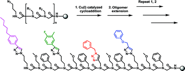 Graphical abstract: Clickity-click: highly functionalized peptoid oligomers generated by sequential conjugation reactions on solid-phase support