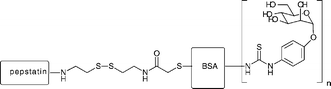 Graphical abstract: Mannose–pepstatin conjugates as targeted inhibitors of antigen processing